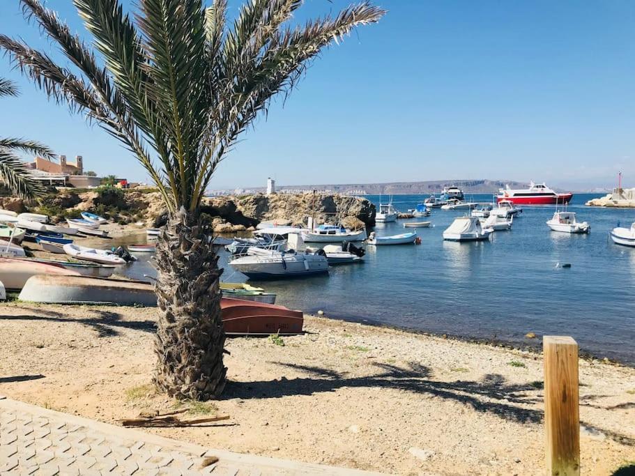 70 Sqm Apartment With Seaview In Arenales Del Sol. Eksteriør bilde